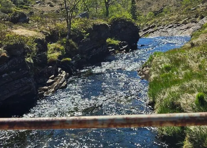 Retro & Vintage Camping