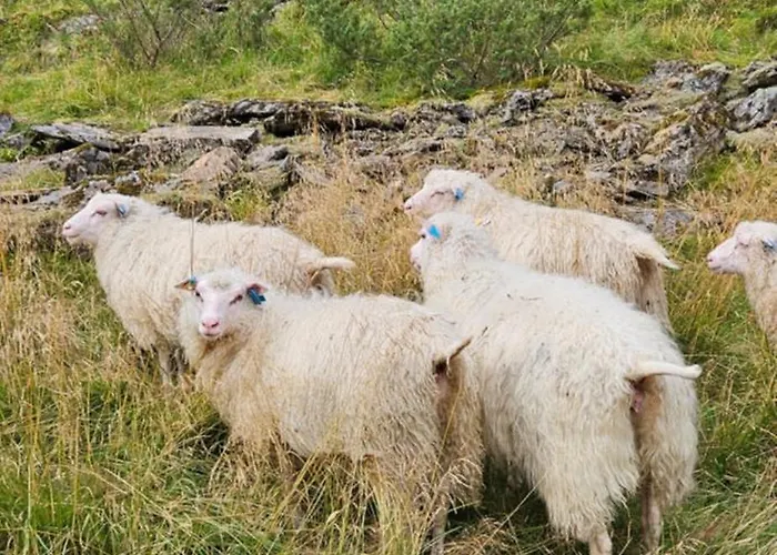 Retro & Vintage Vaksdal